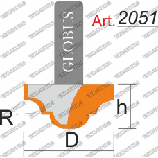 2051-1